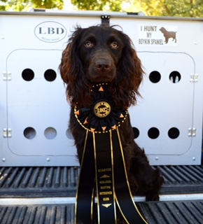 SHR Catfish Creek's Palmetto Cypress NR - Boykin Spaniel Pedigree