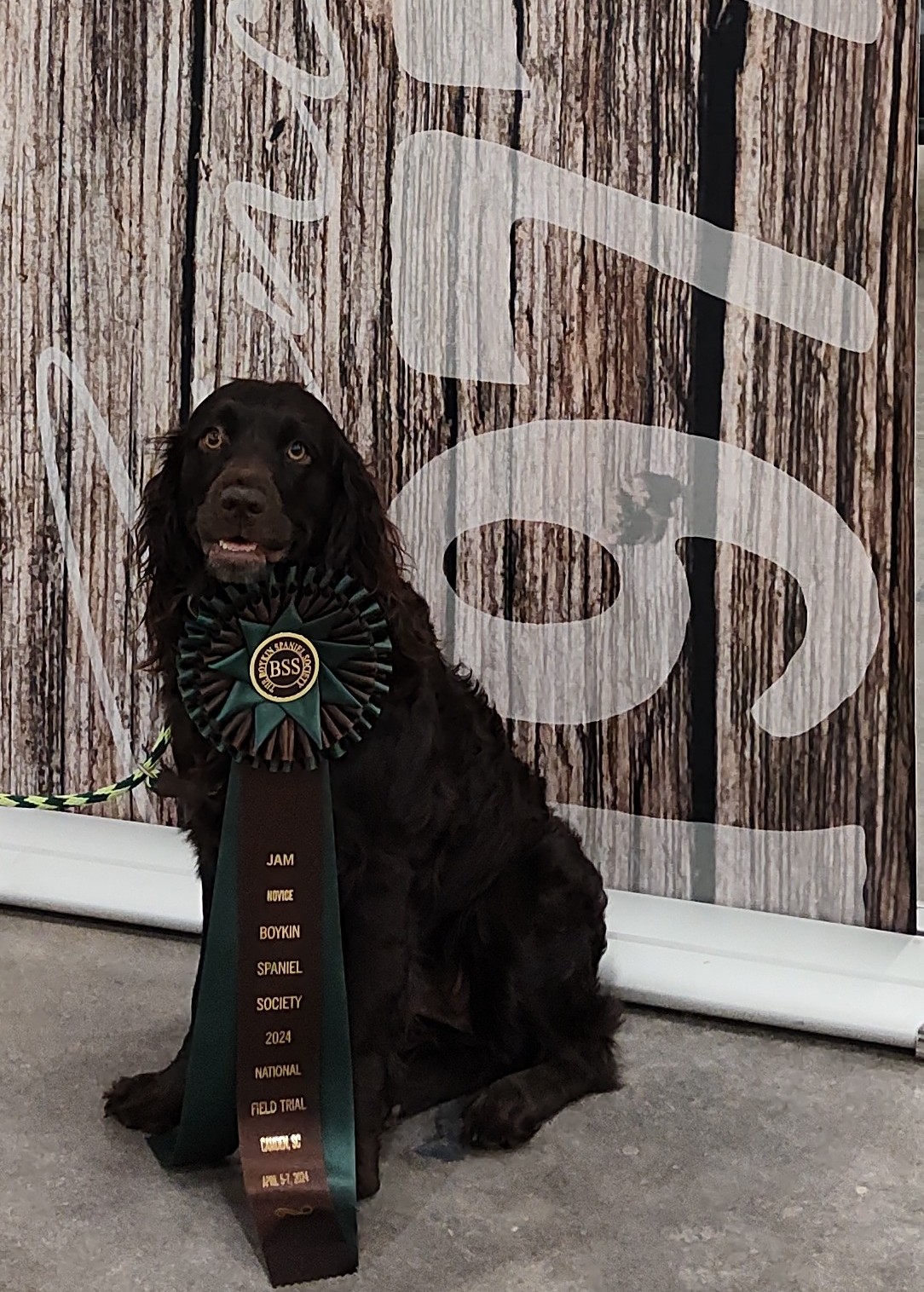 Redhill's Sabine Wren - Boykin Spaniel Pedigree