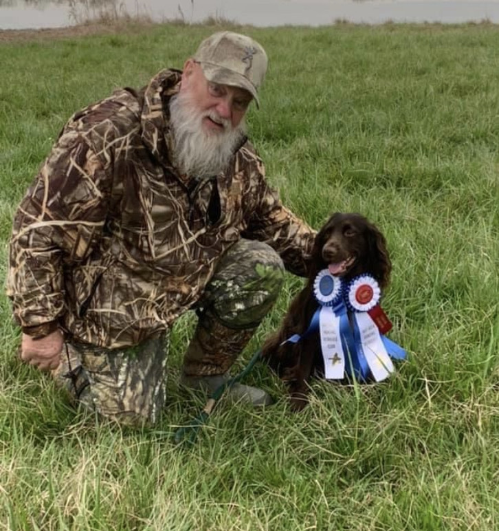 SHR Wood's Maverick - Boykin Spaniel Pedigree