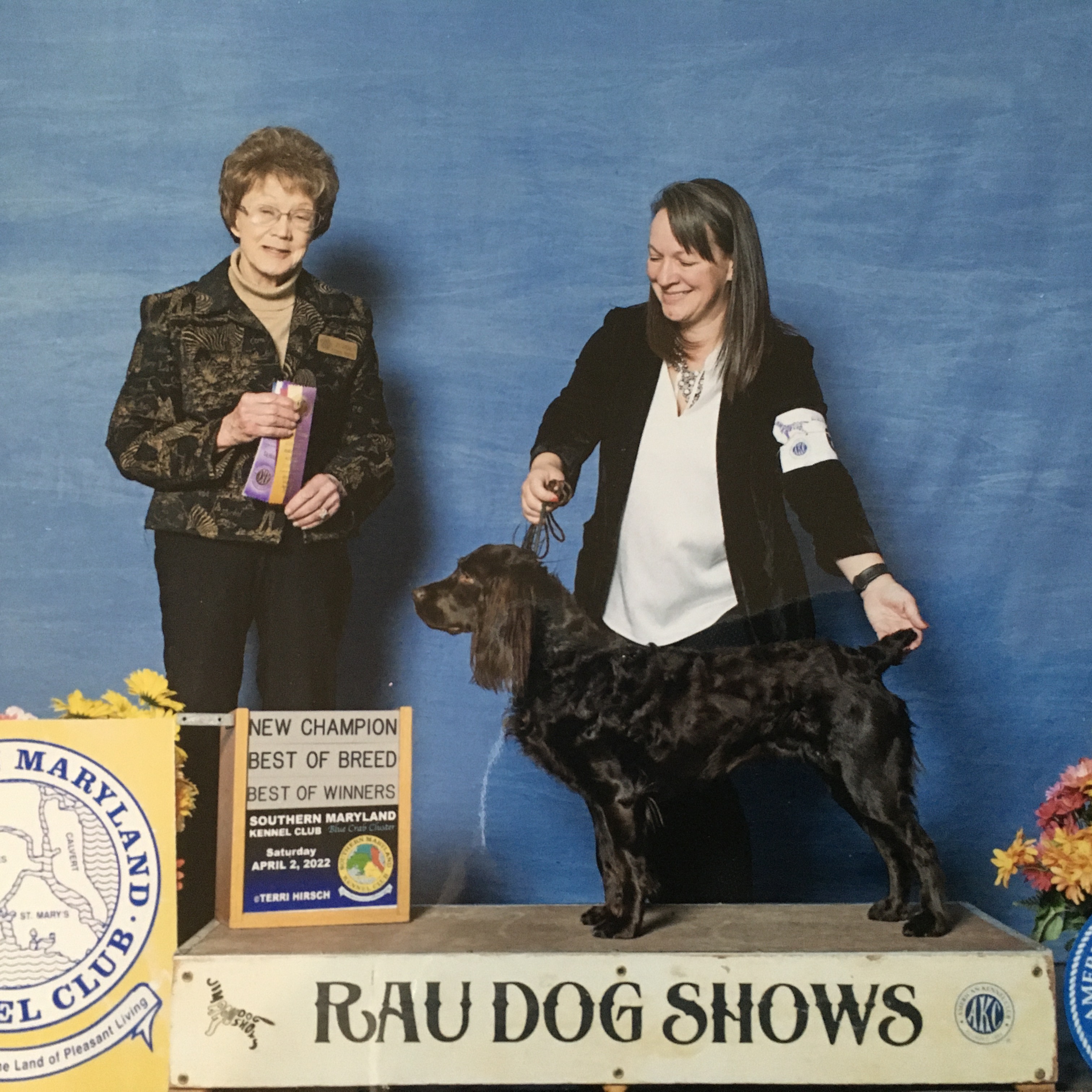 CH 007's Flirt By Waterwheel RE AX MXJ OF DM CGCA TKN - Boykin Spaniel Pedigree