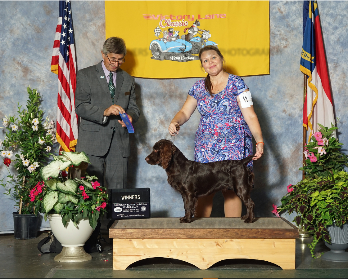 CH SHR Thornhill's Lowcountry Rising - Boykin Spaniel Pedigree