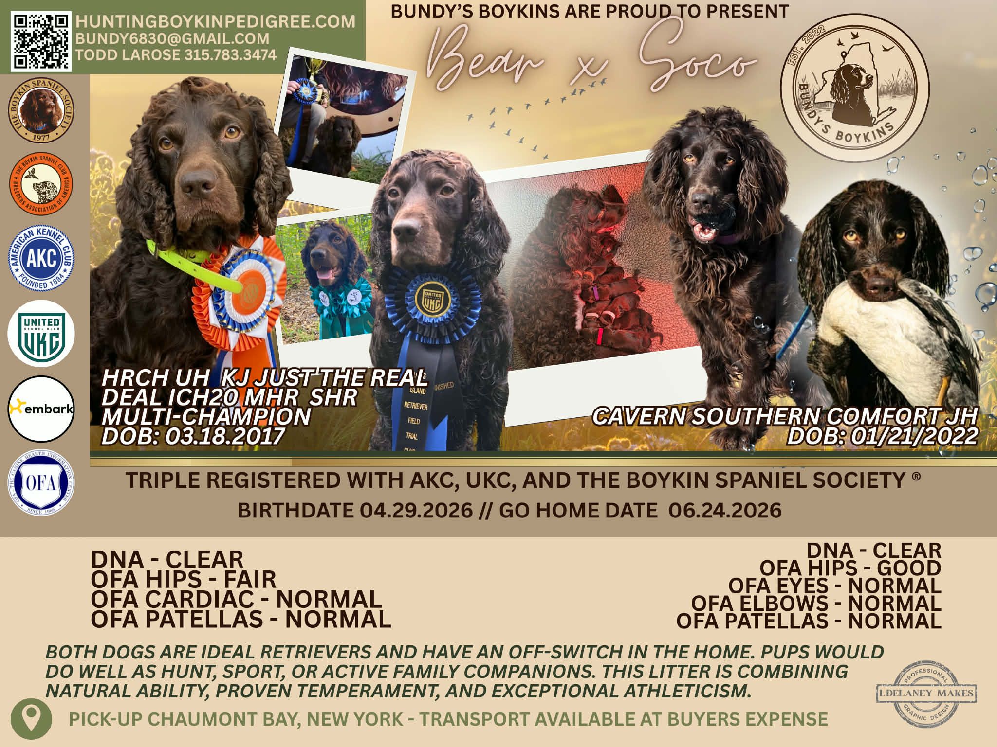 Cavern Southern Comfort JH - Boykin Spaniel Pedigree